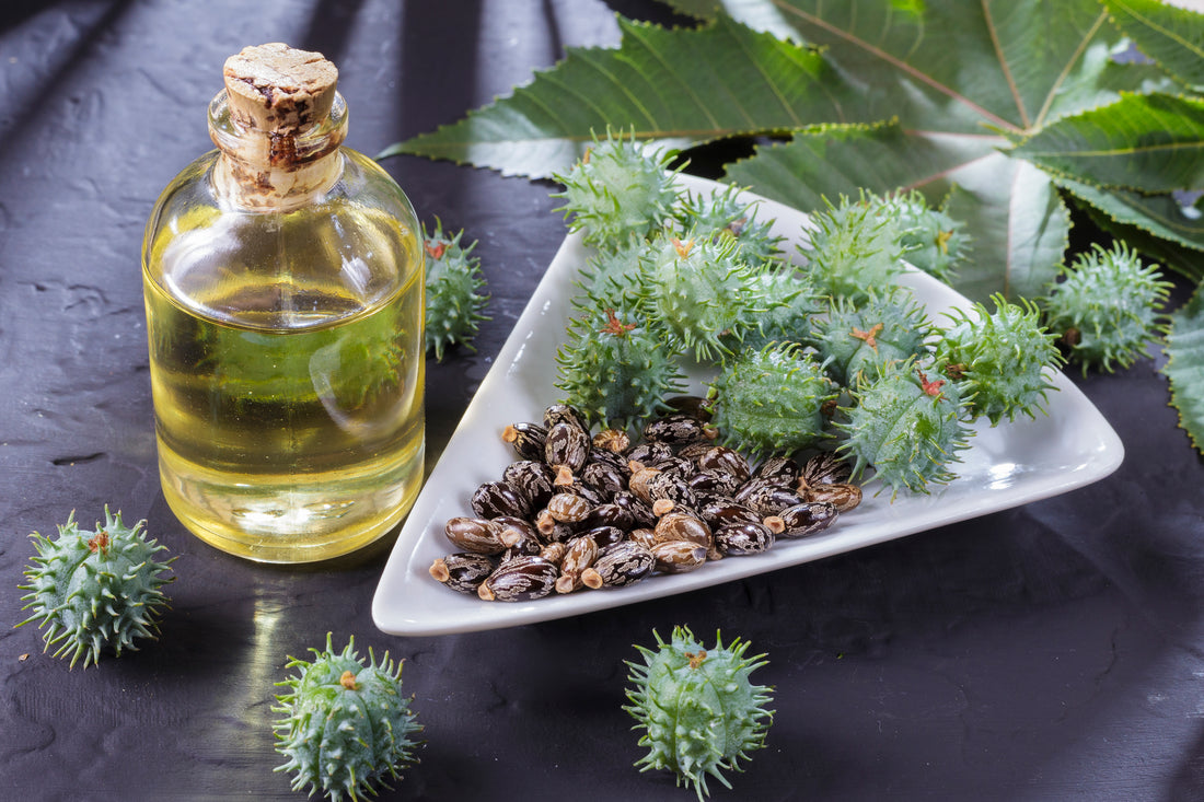 Black Castor Oil For Treating Hair and Scalp Problems
