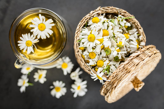 Chamomile Tea For Hair Loss and Bald Spots