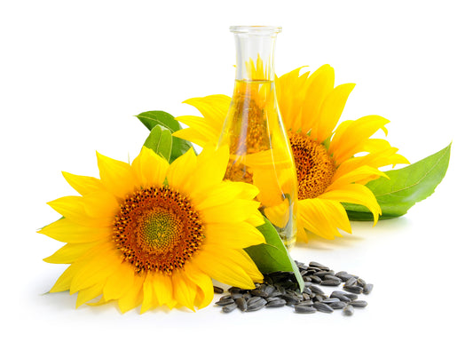 Benefits Of Organic Sunflower Oil On Hair